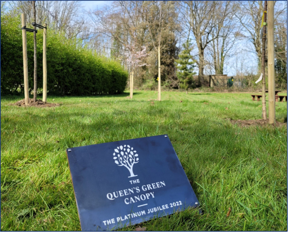 Queen’s Green Canopy plaque in among newly planted trees